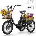 Skeri 20-Inch Folding Electric Tricycle — Black